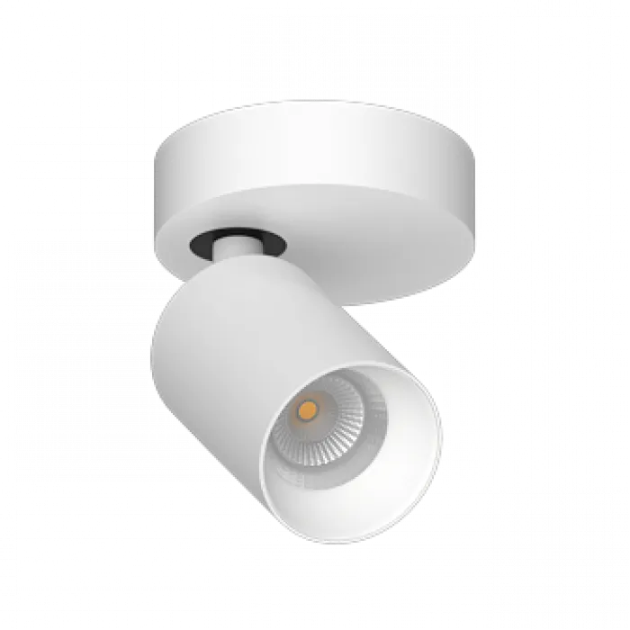 Потолочный поворотный светодиодный светильник LeDron SAGITONY SAGITONY R1 S60 White от ImperiumLoft