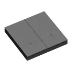 Выключатель двухклавишный LeDron Zigbee XZ-ACK102 Black