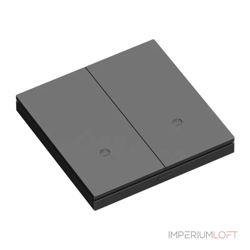 Выключатель двухклавишный LeDron Zigbee XZ-ACK102 Black Выключатель двухклавишный LeDron Zigbee XZ-ACK102 Black