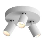 Потолочный поворотный светодиодный светильник LeDron SAGITONY SAGITONY R3 S60 White от ImperiumLoft