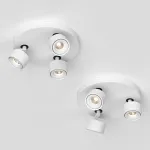 Потолочный поворотный светодиодный светильник LeDron SAGITONY SAGITONY R3 S75 White от ImperiumLoft