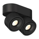 Потолочный поворотный светодиодный светильник LeDron LH8W LH8W 2 Black 4000K