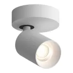 Потолочный поворотный светодиодный светильник LeDron SAGITONY SAGITONY R1 S60 White от ImperiumLoft