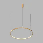 Подвесной светодиодный светильник LeDron LED ROUND 5613I-838RPP-GD-3 от ImperiumLoft