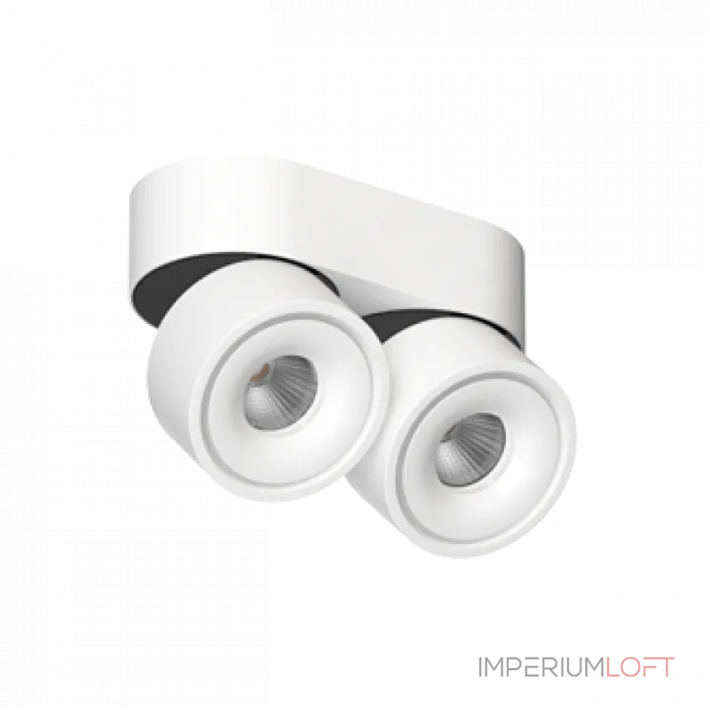 Потолочный поворотный светодиодный светильник LeDron LH8W LH8W 2 White 4000K