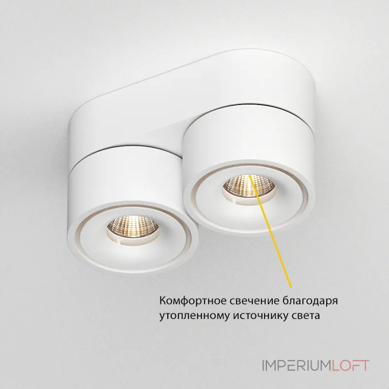 Потолочный поворотный светодиодный светильник LeDron LH8W LH8W 2 White 4000K