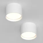 Потолочный светодиодный светильник LeDron DRUM SD3159 White