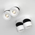 Потолочный поворотный светодиодный светильник LeDron LH8W LH8W 2 White 4000K