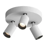 Потолочный поворотный светодиодный светильник LeDron SAGITONY SAGITONY R3 S60 W-Bl 4000K