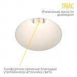 Встраиваемый светодиодный светильник LeDron STRONG STRONG White TRIAC