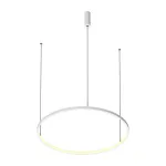 Подвесной светодиодный светильник LeDron LED ROUND 5613I-838RPP-WH-3 от ImperiumLoft