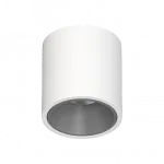 Потолочный светодиодный светильник LeDron RINBOK RINBOK White-Grey TRIAC