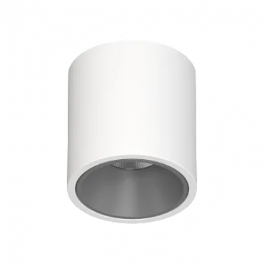 Потолочный светодиодный светильник LeDron RINBOK RINBOK White-Grey TRIAC