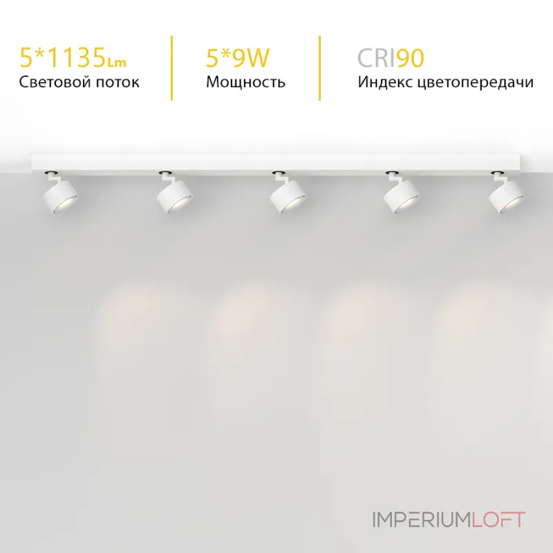 Потолочный поворотный светодиодный светильник LeDron SAGITONY SAGITONY E5 S75 White Dim 4000K