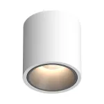 Потолочный светодиодный светильник LeDron RINBOK RINBOK White-Grey TRIAC