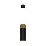 Подвесной светильник LeDron SLC739 PS/PB SLC7392/12W-PS Black-Gold