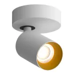 Потолочный поворотный светодиодный светильник LeDron SAGITONY SAGITONY R1 S60 W-Gl от ImperiumLoft