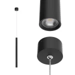 Подвесной светильник LeDron HL012 HL012-BLK