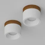Потолочный светодиодный светильник LeDron SUITABLE MINI SUITABLE MINI Wooden Wh