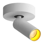 Потолочный поворотный светодиодный светильник LeDron SAGITONY SAGITONY R1 S40 Dim W-Gl от ImperiumLoft