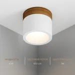 Потолочный светодиодный светильник LeDron SUITABLE MINI SUITABLE MINI Wooden Wh