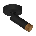 Потолочный светодиодный светильник LeDron SAGITONY SAGITONY R1 S40 Dim Wooden Black