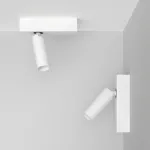 Настенно-потолочный поворотный светодиодный светильник LeDron SAGITONY SAGITONY E S40 White от ImperiumLoft
