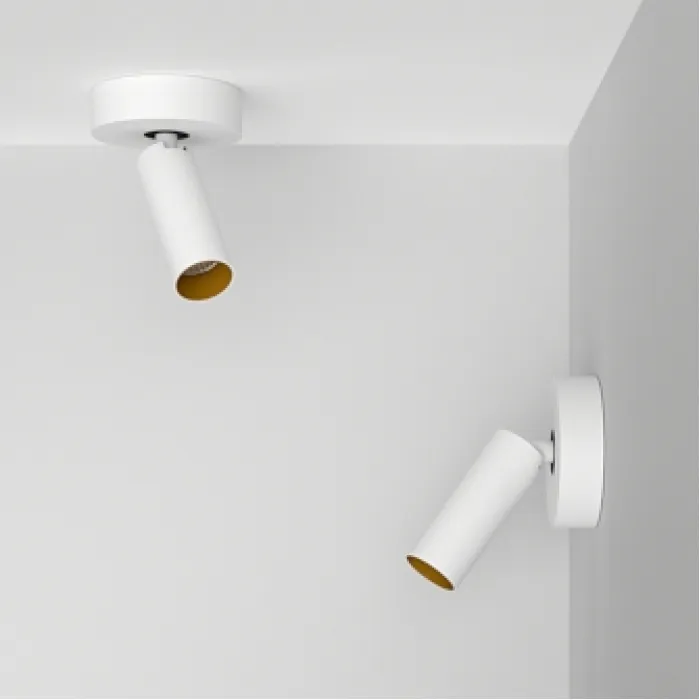 Потолочный поворотный светодиодный светильник LeDron SAGITONY SAGITONY R1 S40 Dim W-Gl от ImperiumLoft