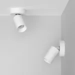 Потолочный поворотный светодиодный светильник LeDron SAGITONY SAGITONY R1 S60 Dim White от ImperiumLoft