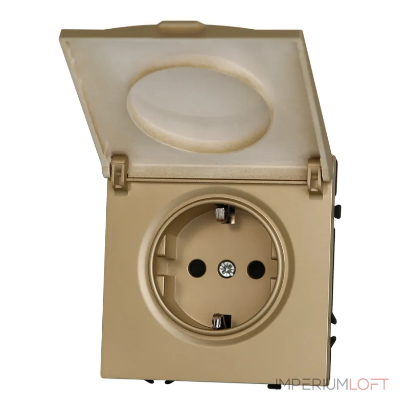 Розетка одинарная с заземлением с крышкой с защитными шторками LeDron EU Socket with Waterproof Cover Gold
