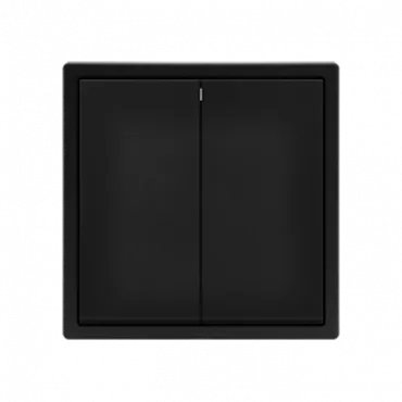 Выключатель двухклавишный звонкового типа LeDron 2G Reset Black Выключатель двухклавишный звонкового типа LeDron 2G Reset Black