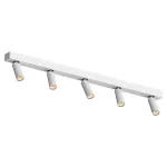Потолочный поворотный светодиодный светильник LeDron SAGITONY SAGITONY E5 S40 Wh-Bl Dim 4000K
