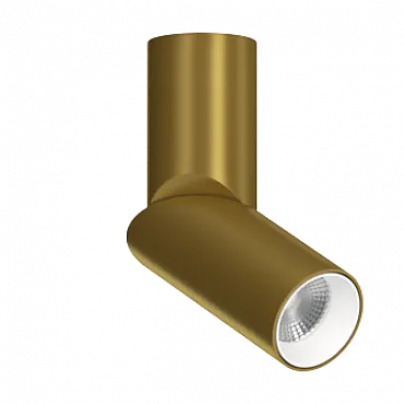 Потолочный поворотный светильник под сменную лампу LeDron MJ1402 MJ1402 Gold-White