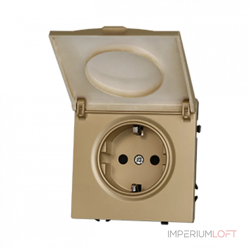 Розетка одинарная с заземлением с крышкой с защитными шторками LeDron EU Socket with Waterproof Cover Gold