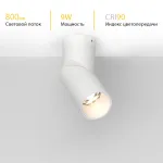 Потолочный поворотный светодиодный светильник LeDron CSU0809 CSU0809-C-WW-30 WHITE от ImperiumLoft