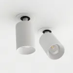 Светодиодный поворотный светильник LeDron SAGITONY SAGITONY R BASIC S60 W 4000K