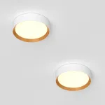 Потолочный светодиодный светильник LeDron ILLUMINE 5601-840RC-WH-3