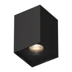 Потолочный светильник под сменную лампу LeDron MJ1021GW MJ1021 Black