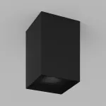 Потолочный светильник под сменную лампу LeDron MJ1021GW MJ1021 Black