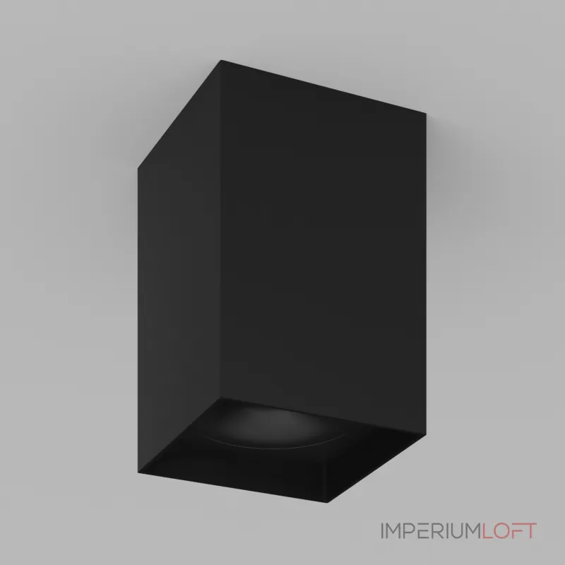 Потолочный светильник под сменную лампу LeDron MJ1021GW MJ1021 Black Потолочный светильник под сменную лампу LeDron MJ1021GW MJ1021 Black