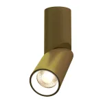 Потолочный поворотный светильник под сменную лампу LeDron MJ1402 MJ1402 Gold-White