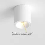 Потолочный светильник под сменную лампу LeDron AO1706041 AO1706041 WHITE от ImperiumLoft