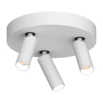 Потолочный поворотный светодиодный светильник LeDron SAGITONY SAGITONY R3 S40 Dim White