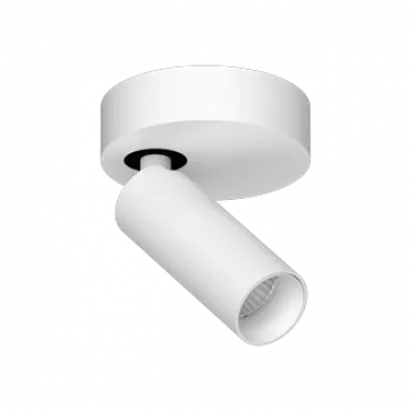 Потолочный поворотный светодиодный светильник LeDron SAGITONY SAGITONY R1 S40 White
