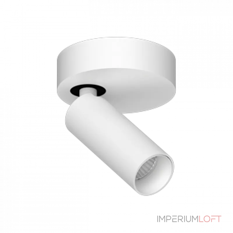 Потолочный поворотный светодиодный светильник LeDron SAGITONY SAGITONY R1 S40 White