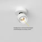 Потолочный поворотный светодиодный светильник LeDron SAGITONY SAGITONY R1 S75 Dim Black от ImperiumLoft