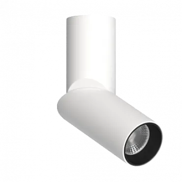 Потолочный поворотный светильник под сменную лампу LeDron MJ1402 MJ1402 White-Black