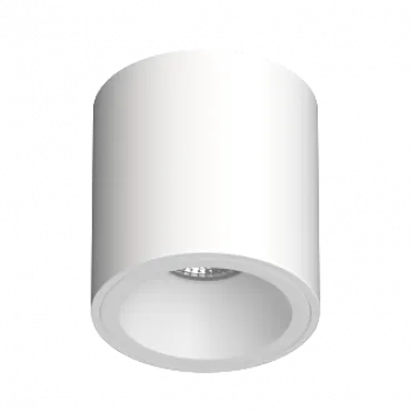 Потолочный светильник под сменную лампу LeDron AO1706041 AO1706041 WHITE