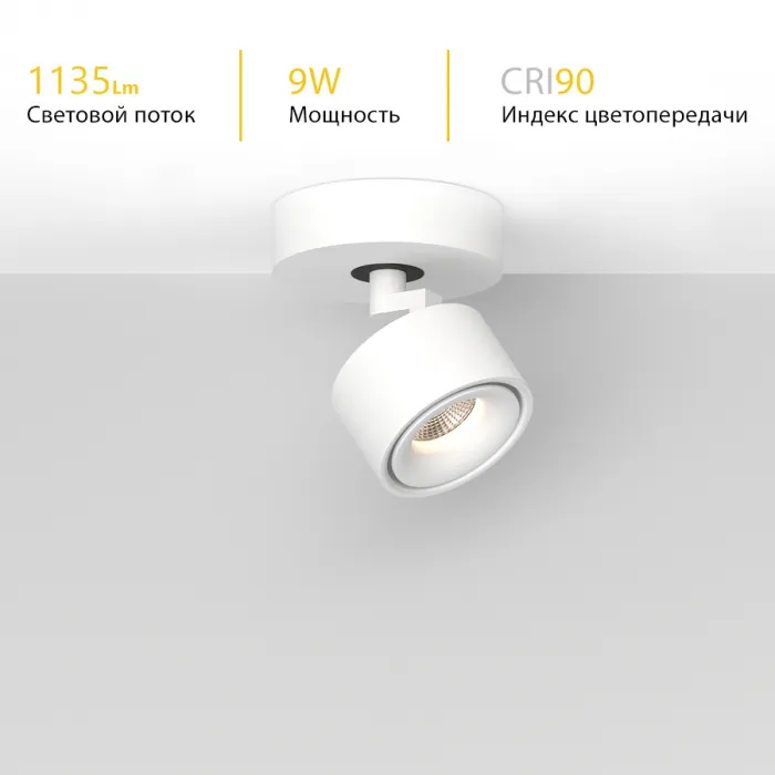 Потолочный поворотный светодиодный светильник LeDron SAGITONY SAGITONY R1 S75 Dim Black от ImperiumLoft