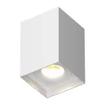 Потолочный светильник под сменную лампу LeDron MJ1021GW MJ1021 White